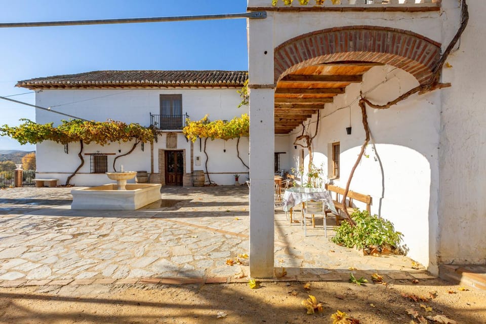 Patio, Facade/entrance