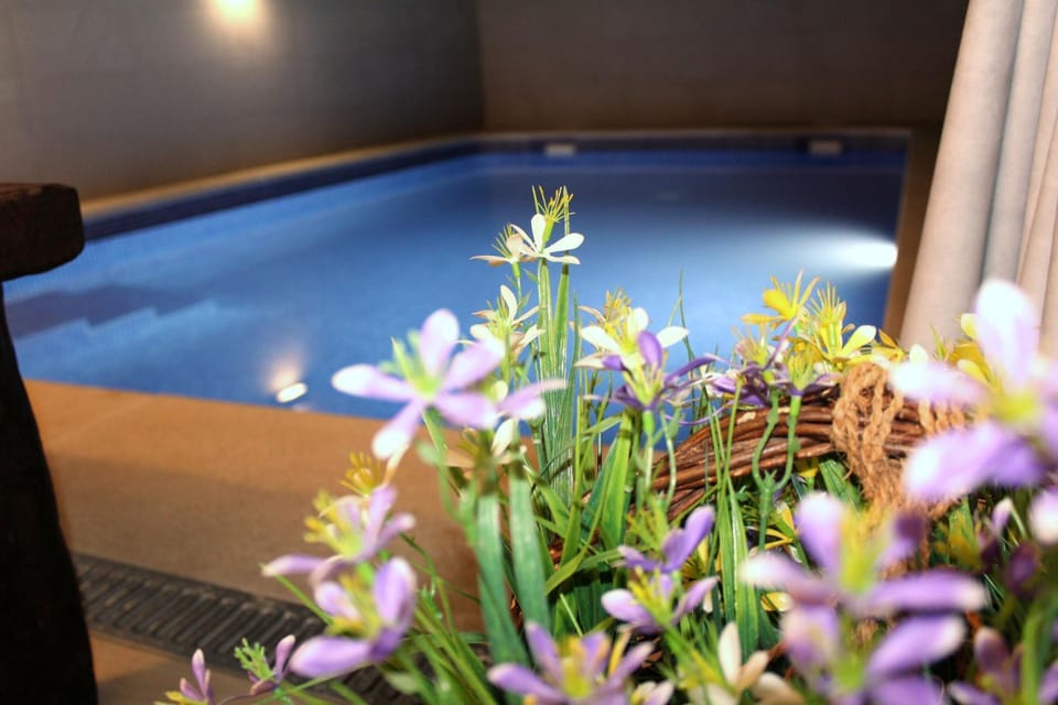 Solarium, Swimming pool, Swimming pool