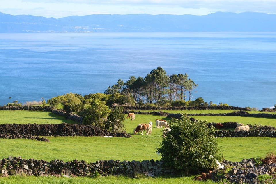 Property building, Sea view