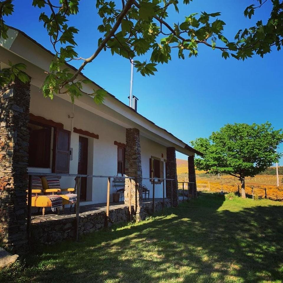 Patio, Garden