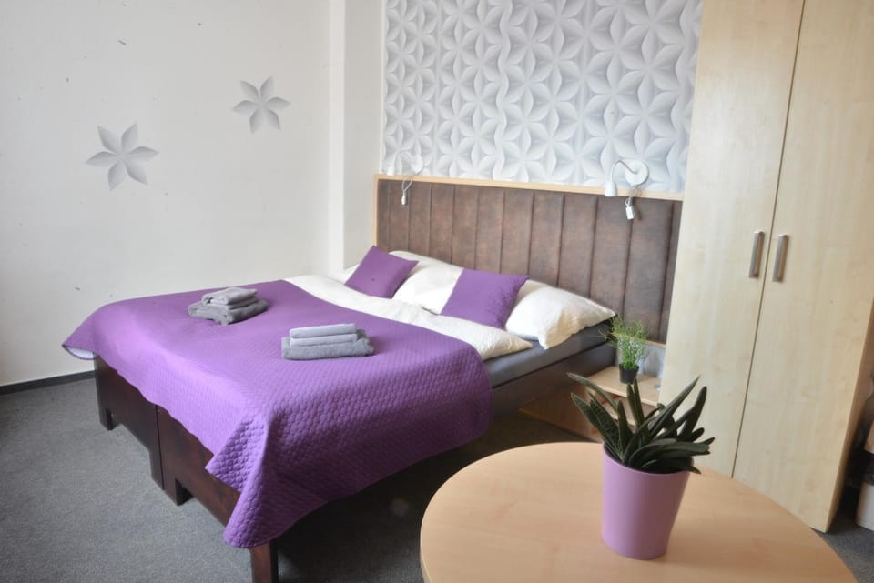 Penzion Klimeš Bed and Breakfast in South Moravian Region