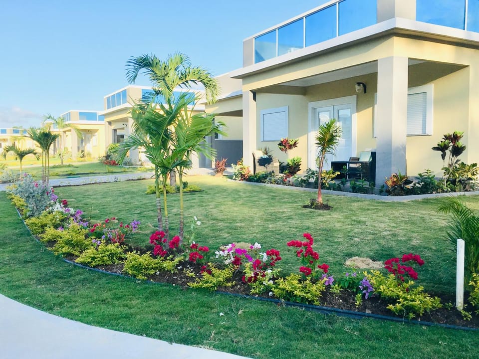Property building, Garden