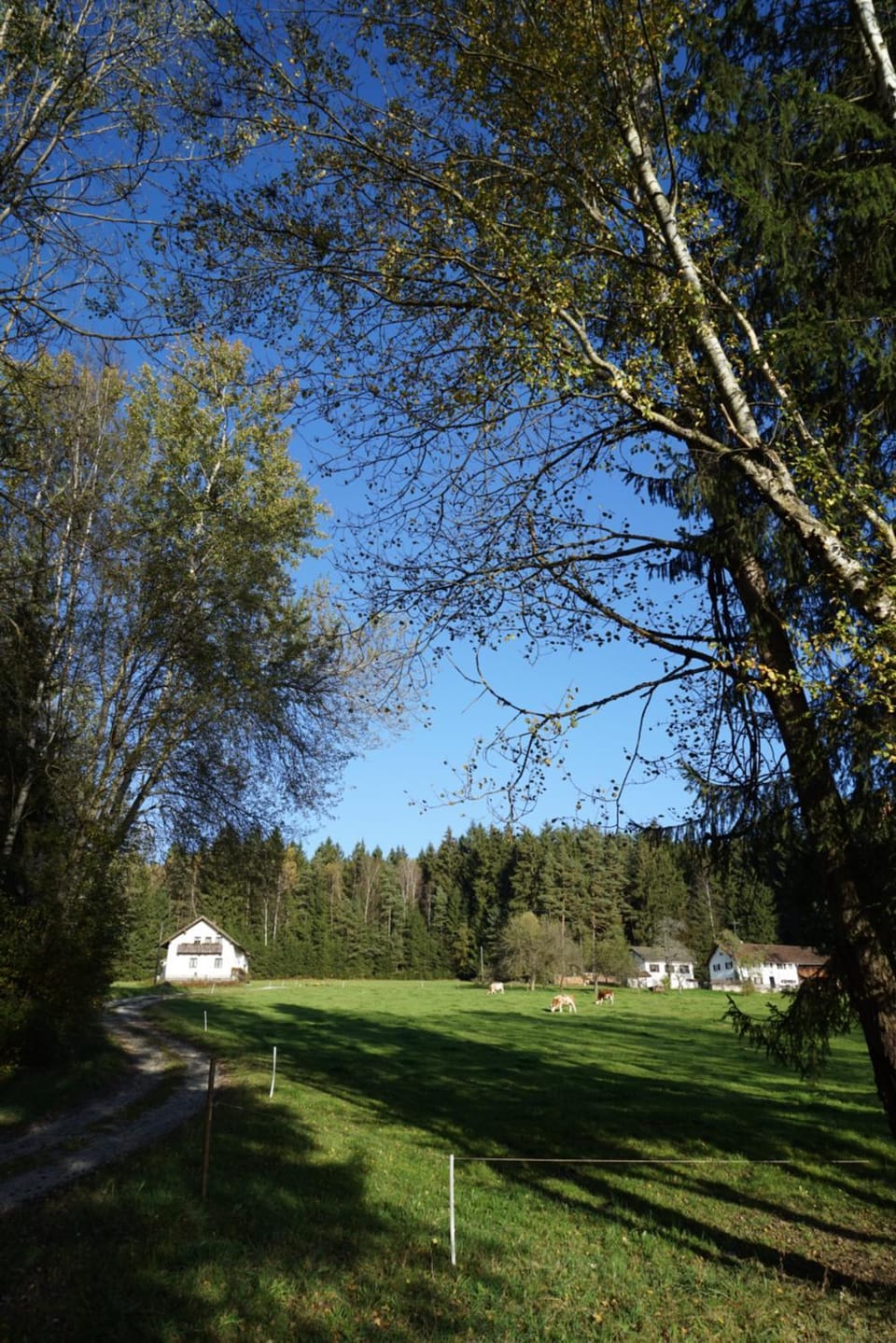 Natural landscape