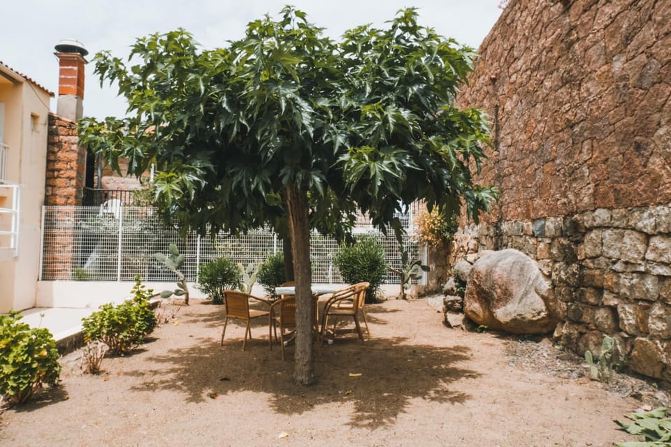 Garden, Garden, Garden view