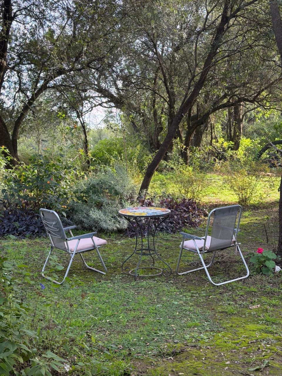 Varuna- en La Casa de Nanda Bed and Breakfast in San Luis Province, Argentina