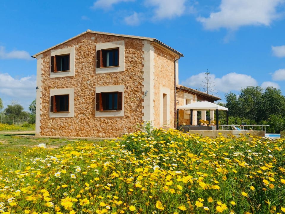 Property building, Spring, Garden, Garden view