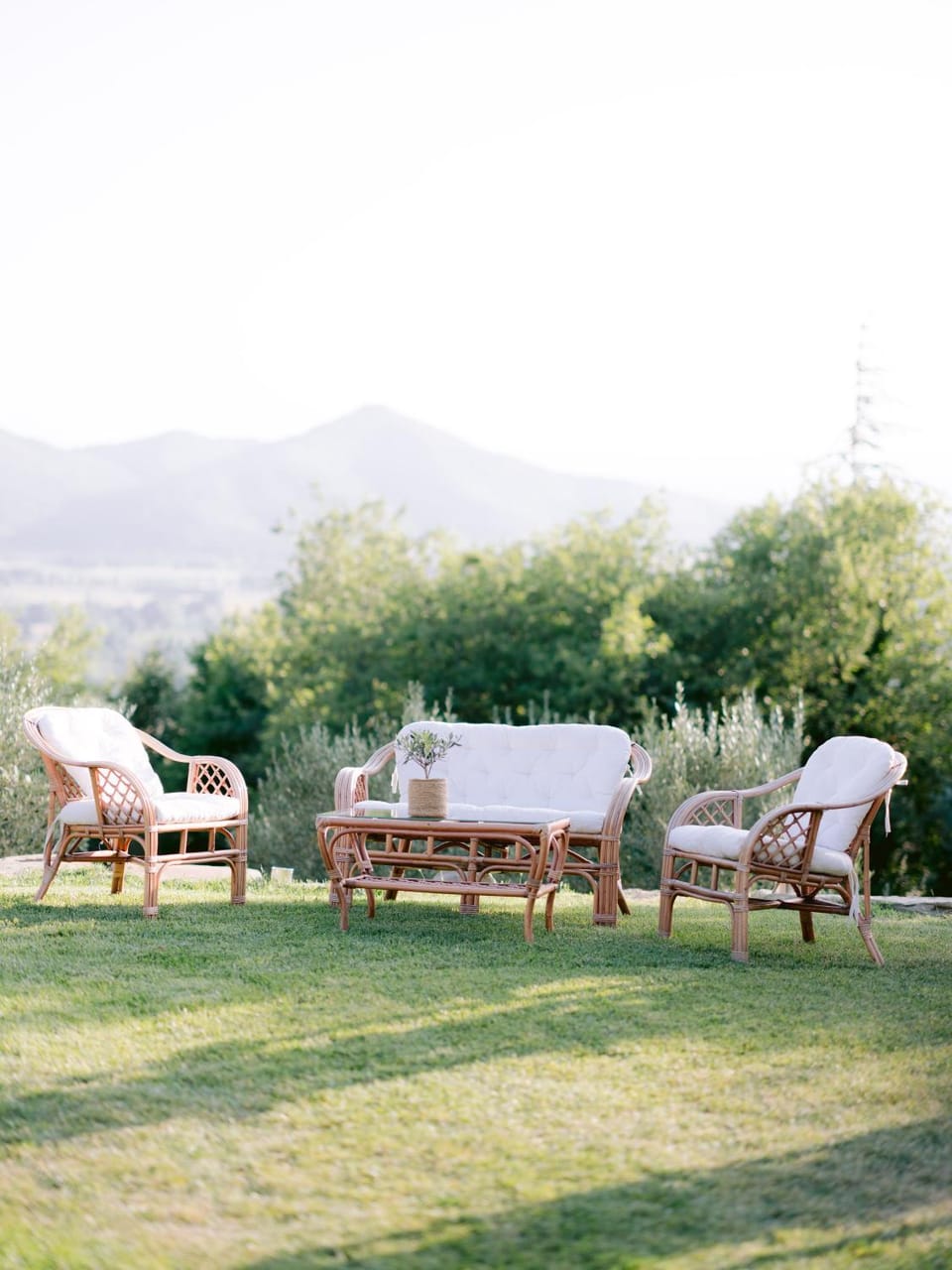 Garden, Lounge or bar