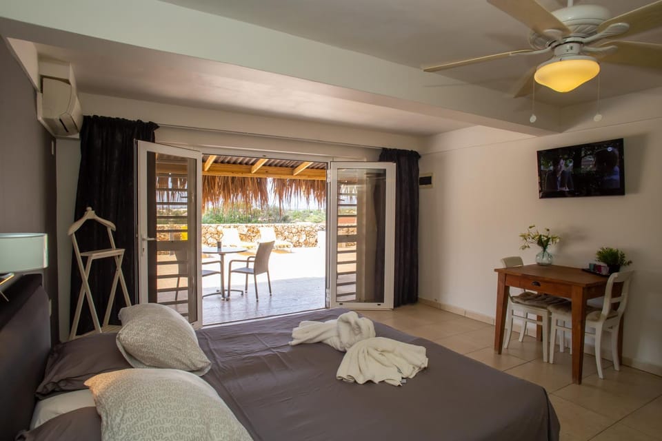 Bed, TV and multimedia, Photo of the whole room, Seating area, towels, air conditioner