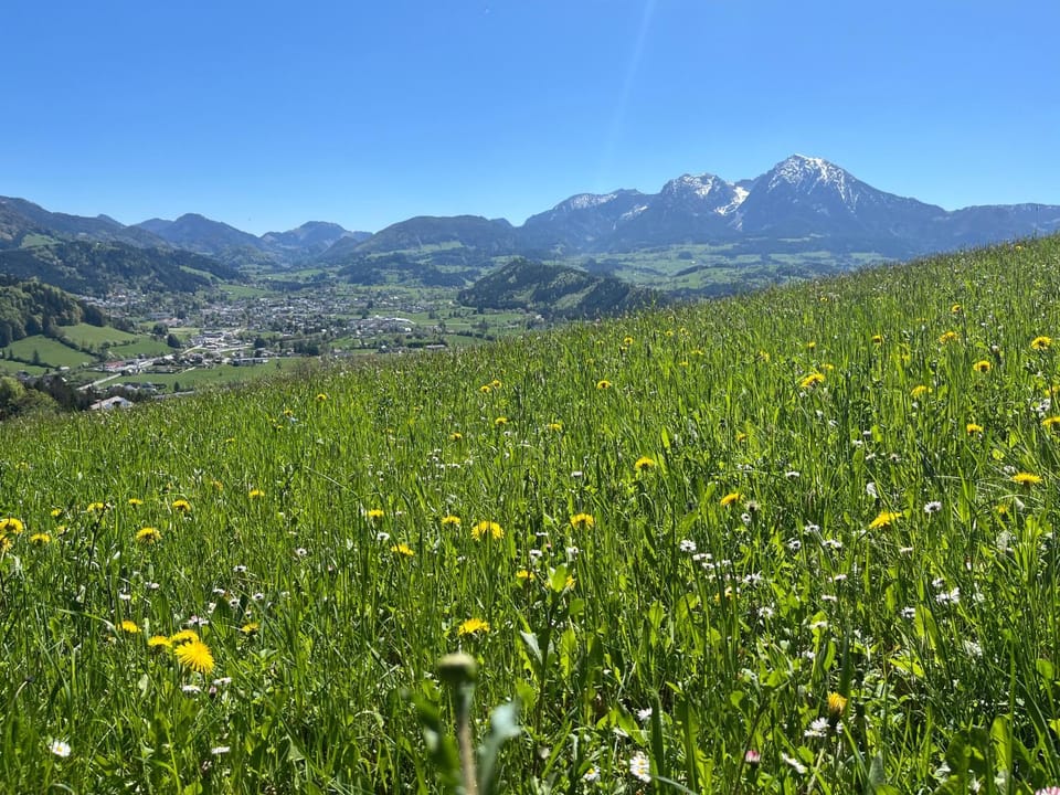 Natural landscape