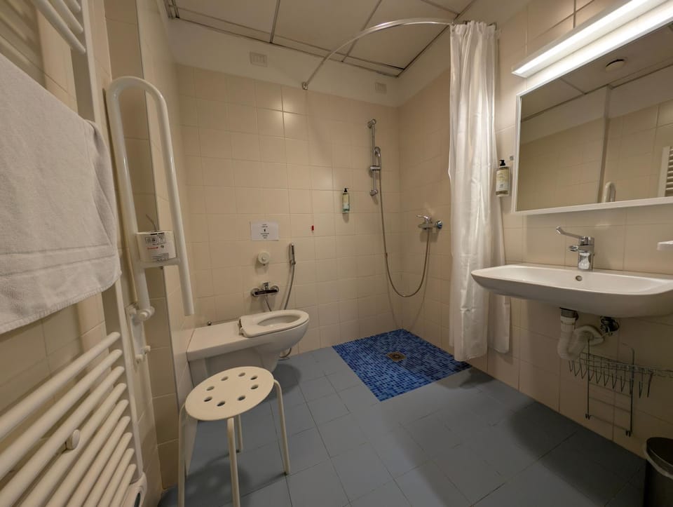 Shower, Toilet, Bathroom, towels