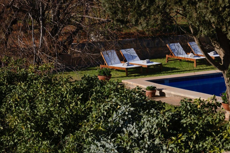 Day, Garden, Swimming pool