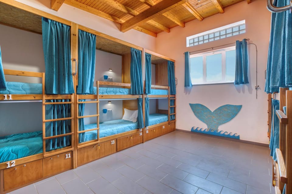 bunk bed
