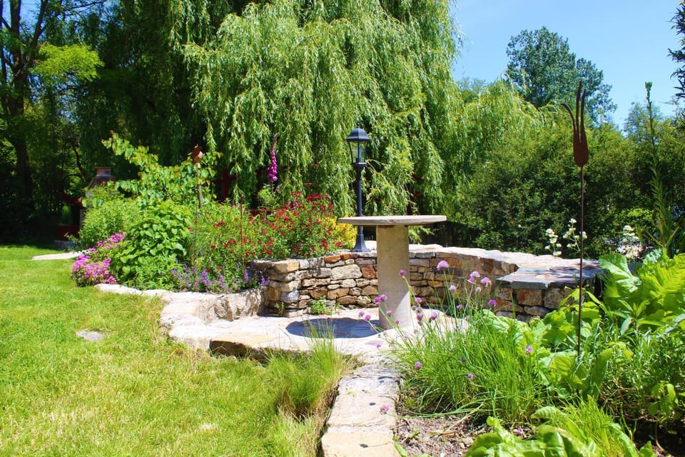 Garden view