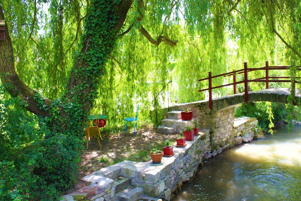 Garden, River view