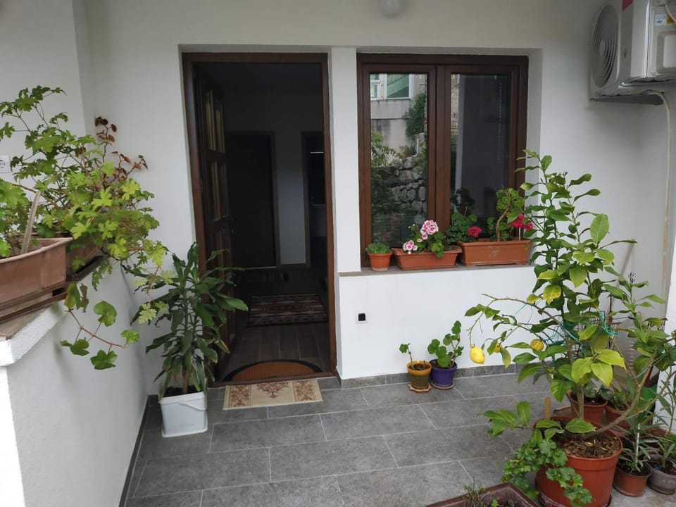 Patio, Facade/entrance