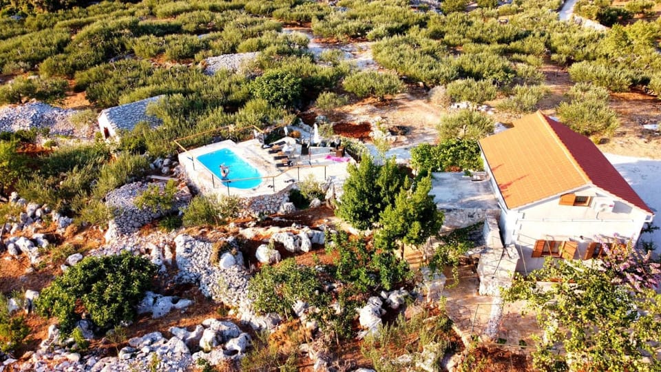 Property building, Bird's eye view