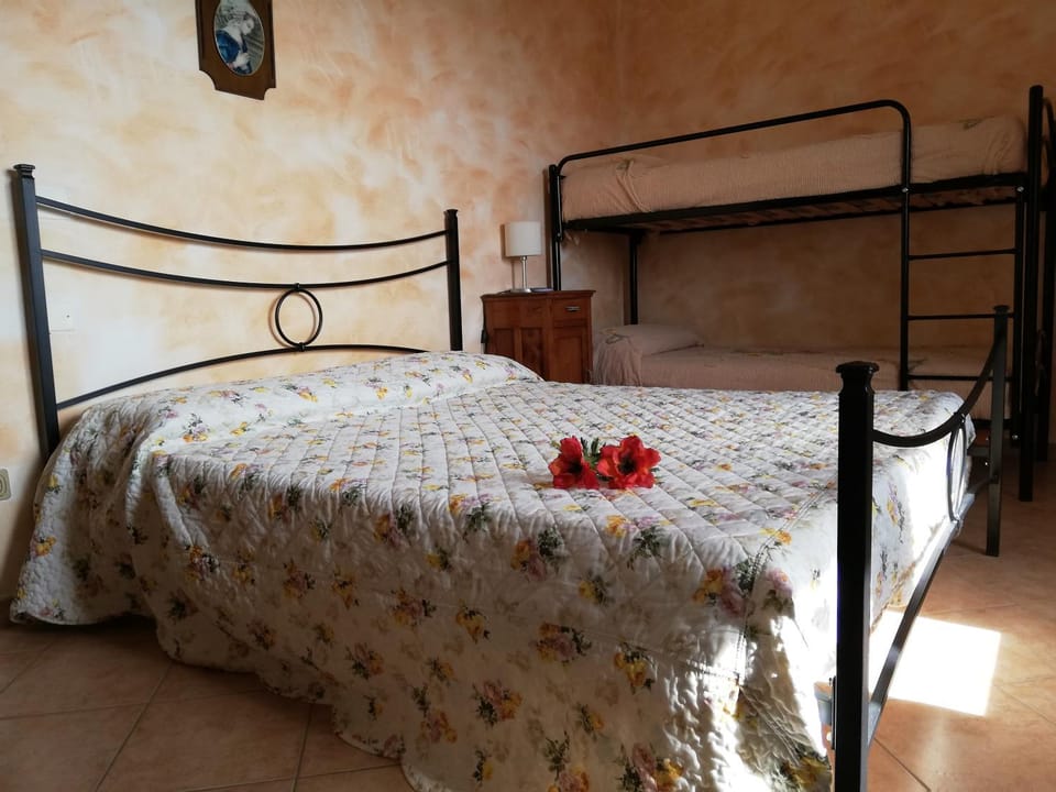 Bed, Photo of the whole room, Bedroom, bunk bed