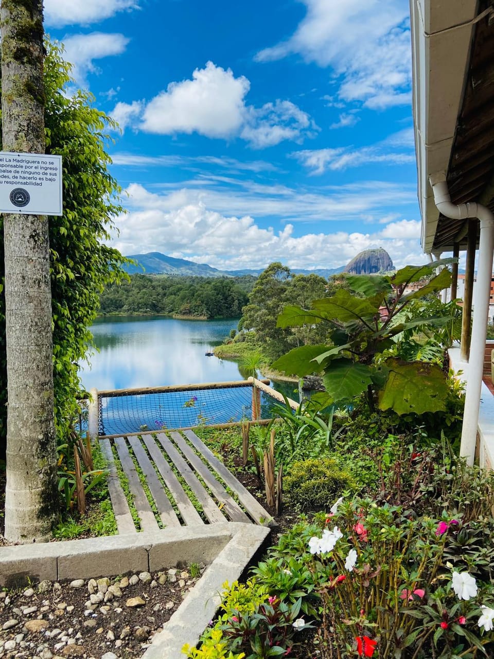 Lake view