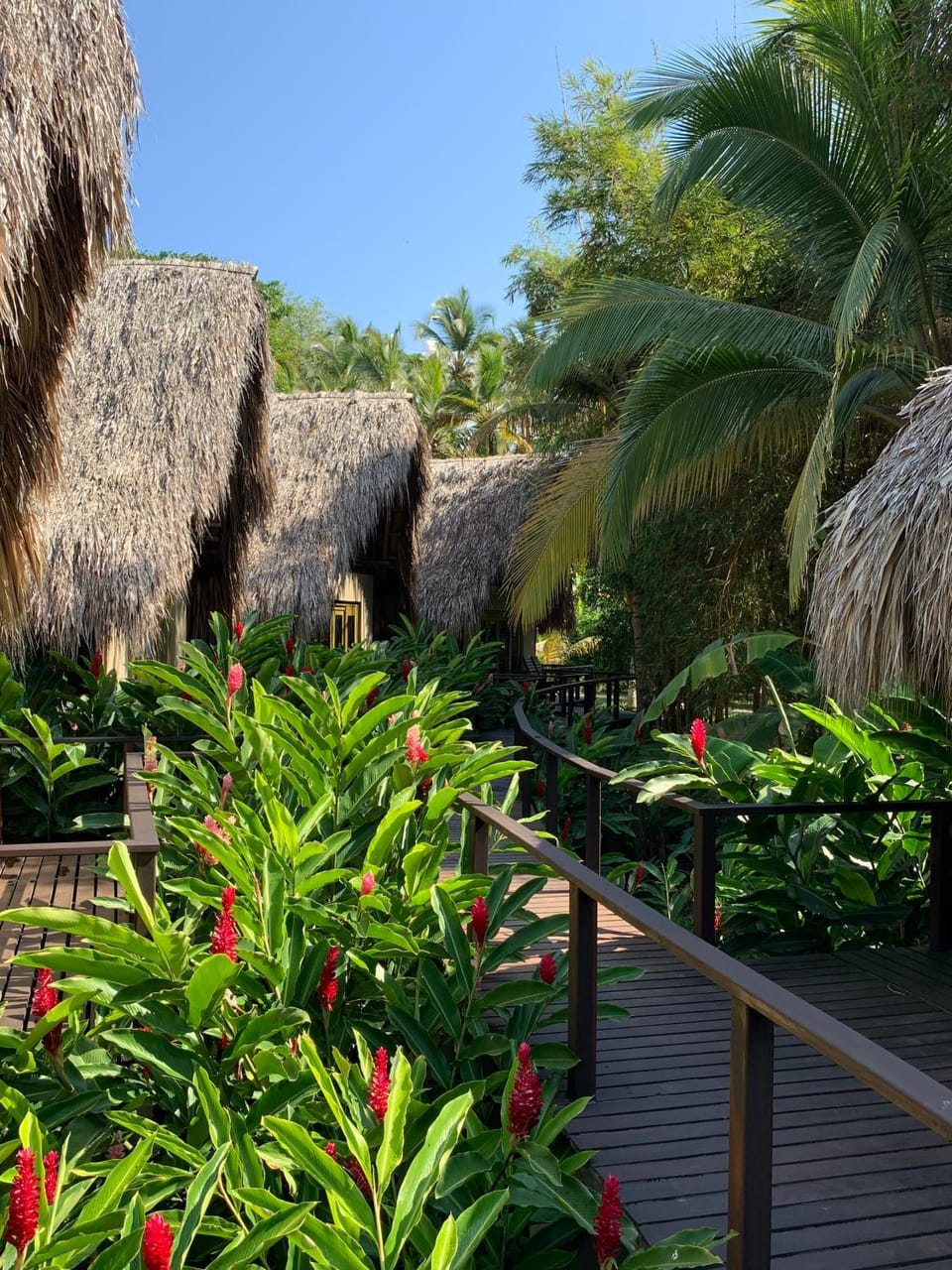 Property building, Natural landscape, Swimming pool, air conditioner