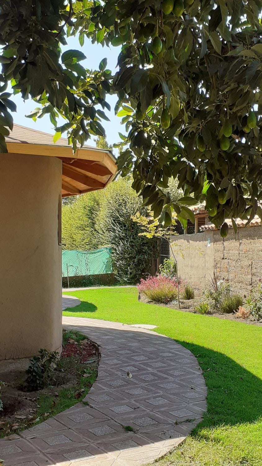Garden view
