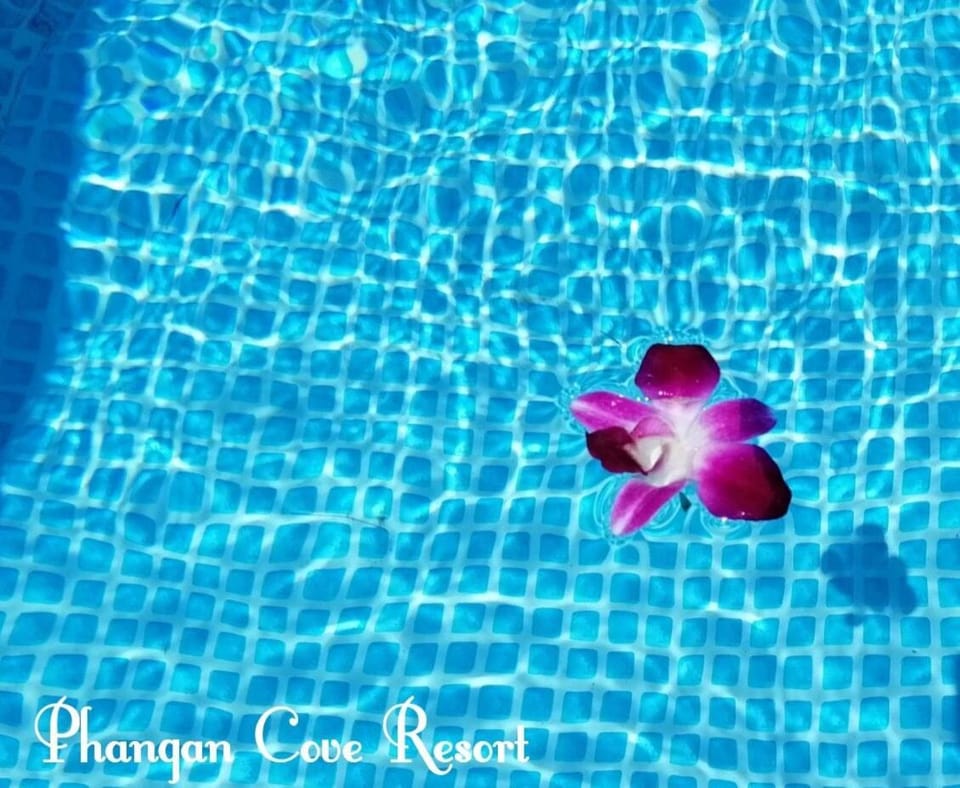 Phangan Cove Beach Resort Campground/ 
RV Resort in Ko Pha-ngan Sub-district