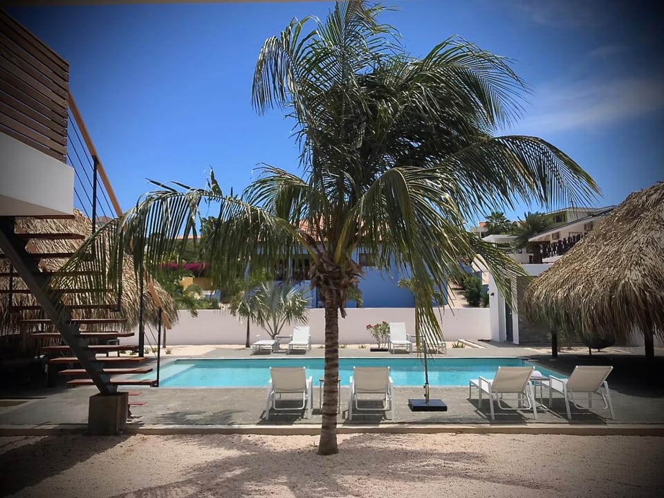 Garden, Swimming pool, Swimming pool
