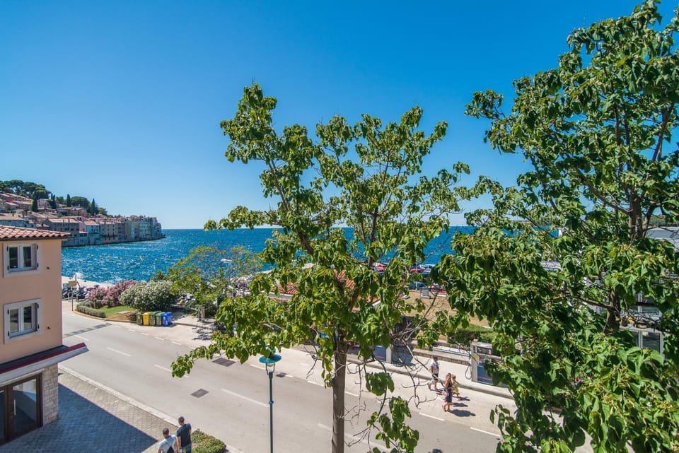 City view, Sea view