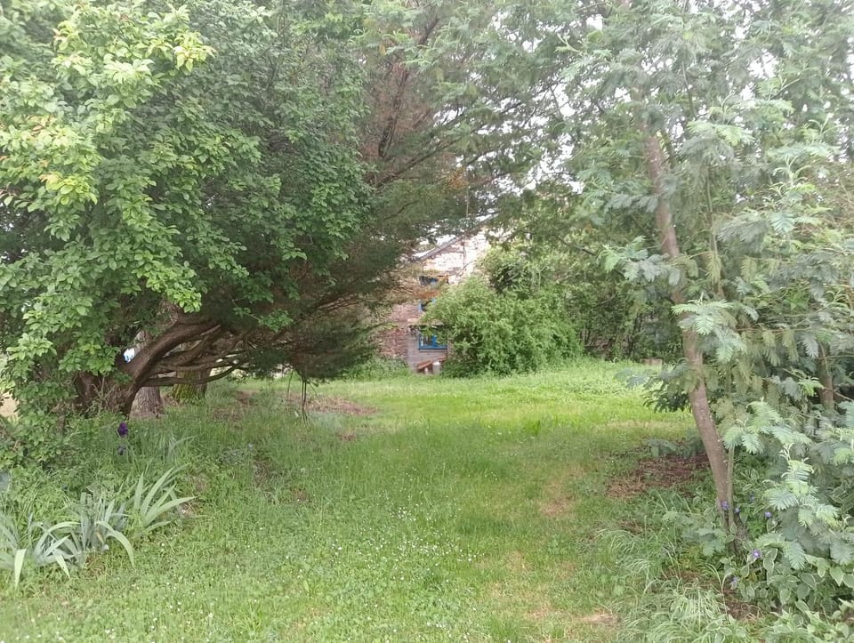 Natural landscape, Garden