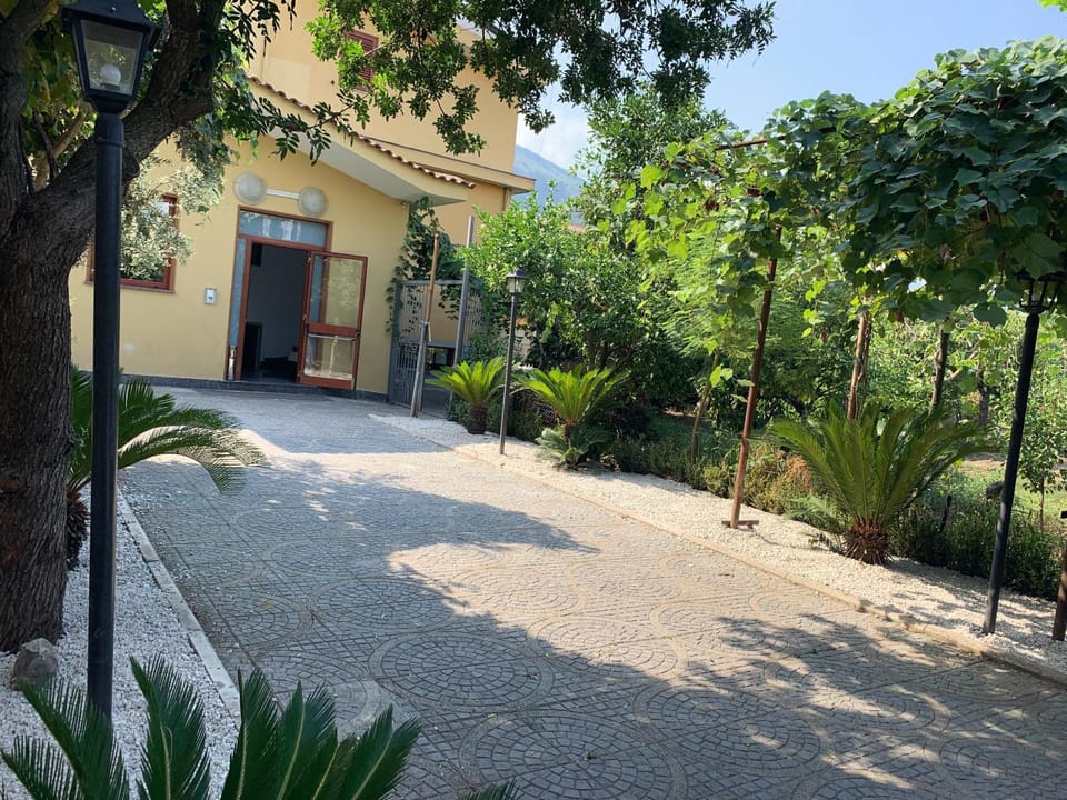 Property building, Facade/entrance, Garden
