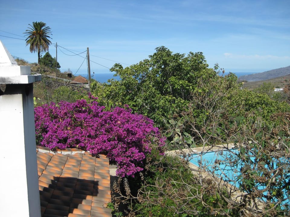 Natural landscape