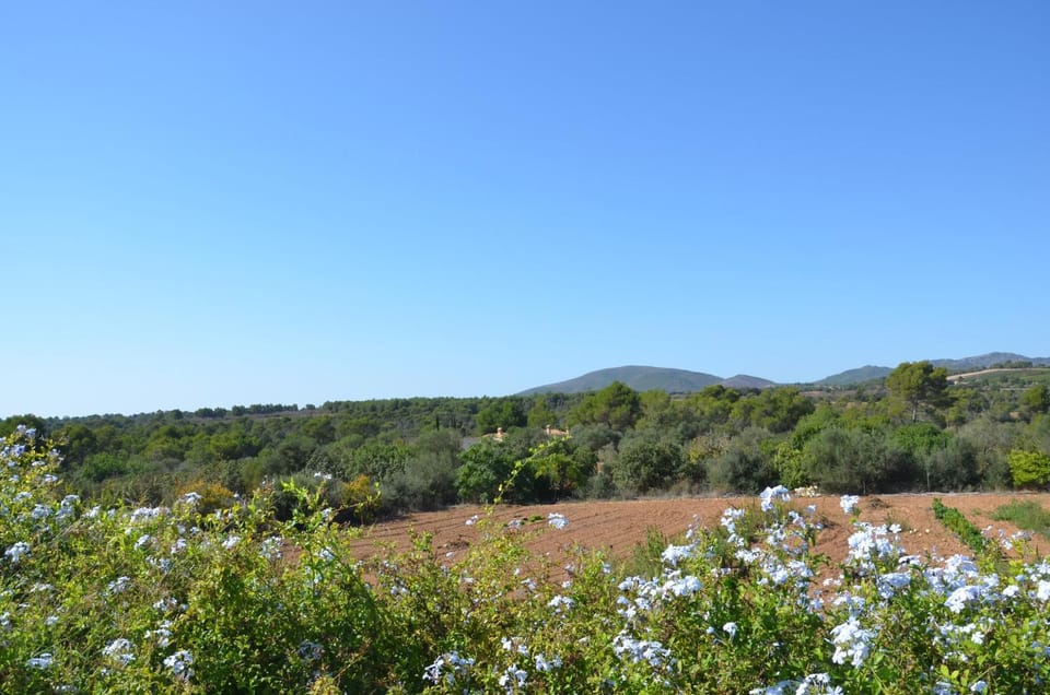 View (from property/room)