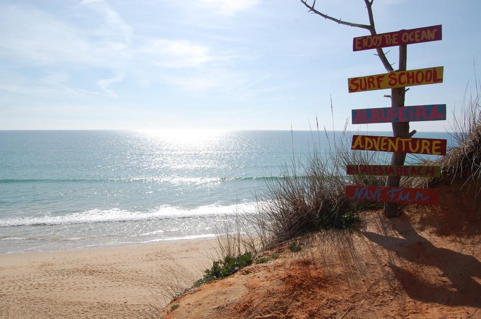 Spring, Fishing, Beach, Diving