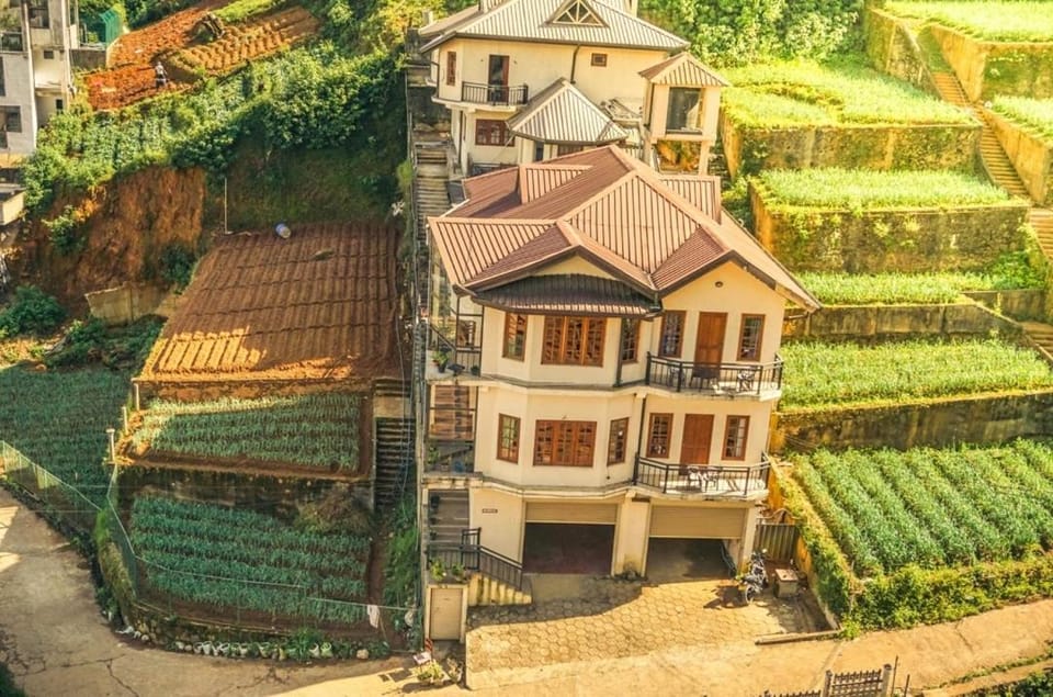 Property building, Spring, Day, Natural landscape, Garden, City view, Garden view