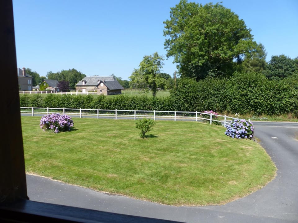 Garden view