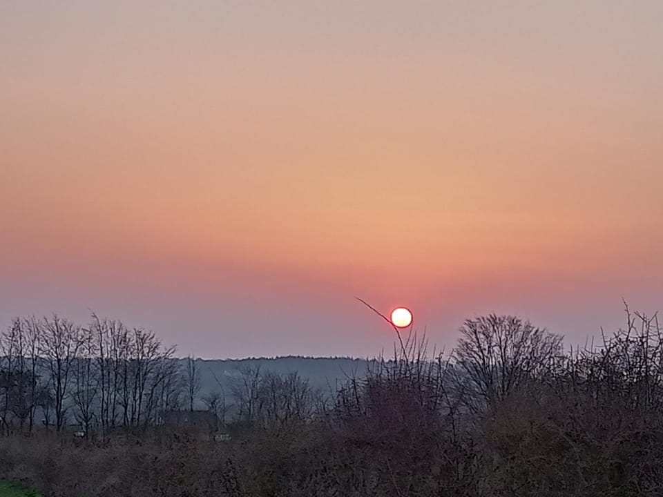 Le Clos Fleuri Apartment in Wallonia, Belgium
