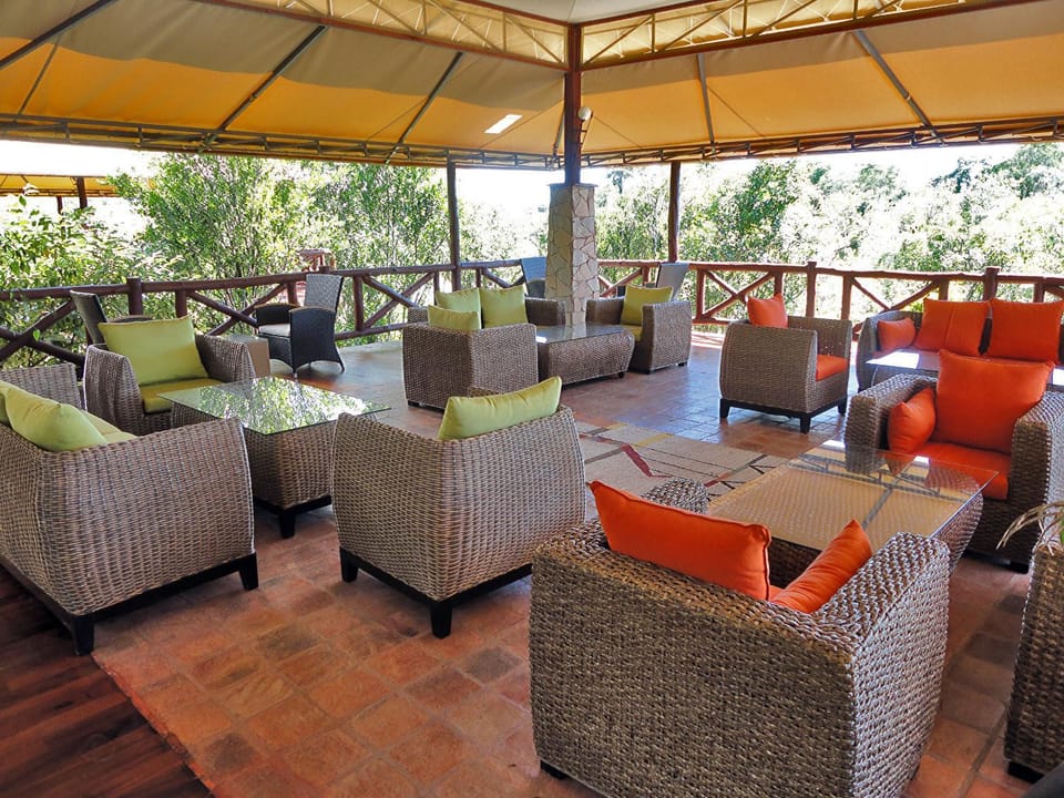Day, Lounge or bar
