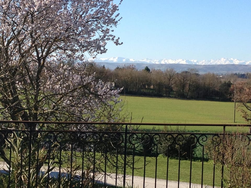 Chambres d'Hotes Domaine de la Capelle Bed and Breakfast in Castelnaudary