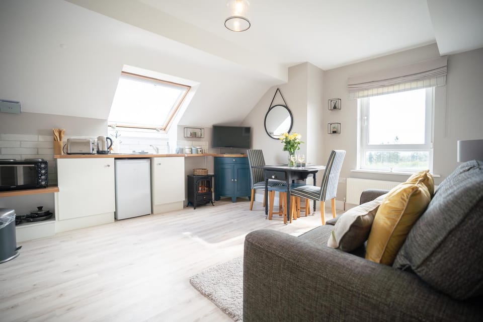 TV and multimedia, oven, stove