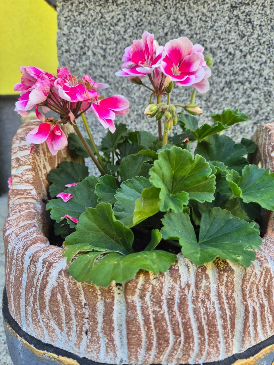 Apartment Slap Apartment in Plitvice Lakes Park