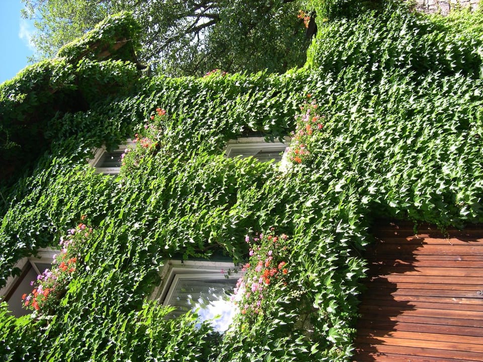 Obergereuth Hof 1288 Apartment in Trentino-South Tyrol