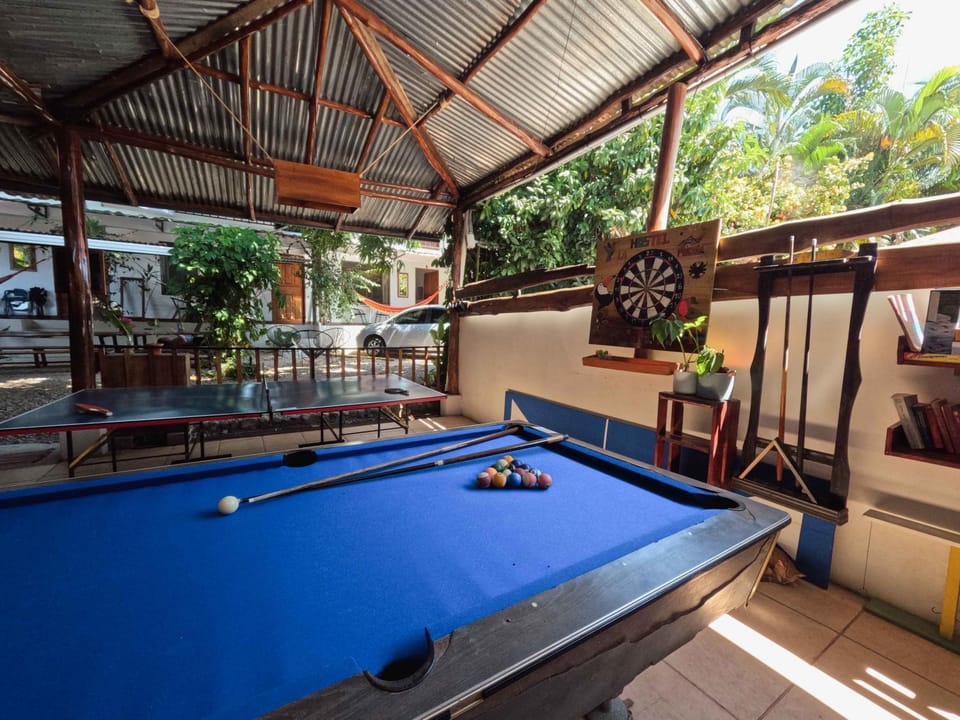 Billiard, Game Room