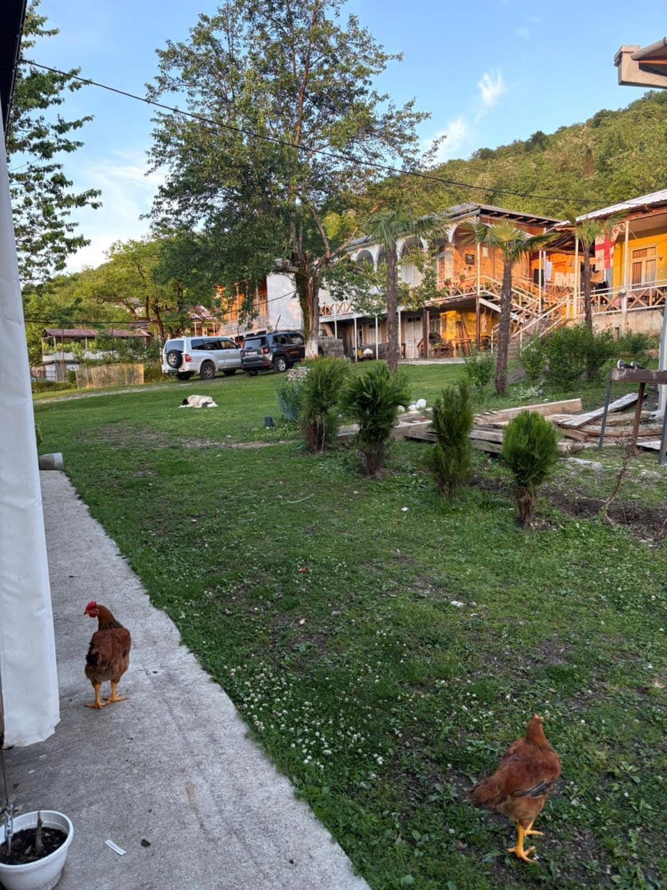 Guest House Balda Bed and Breakfast in Georgia