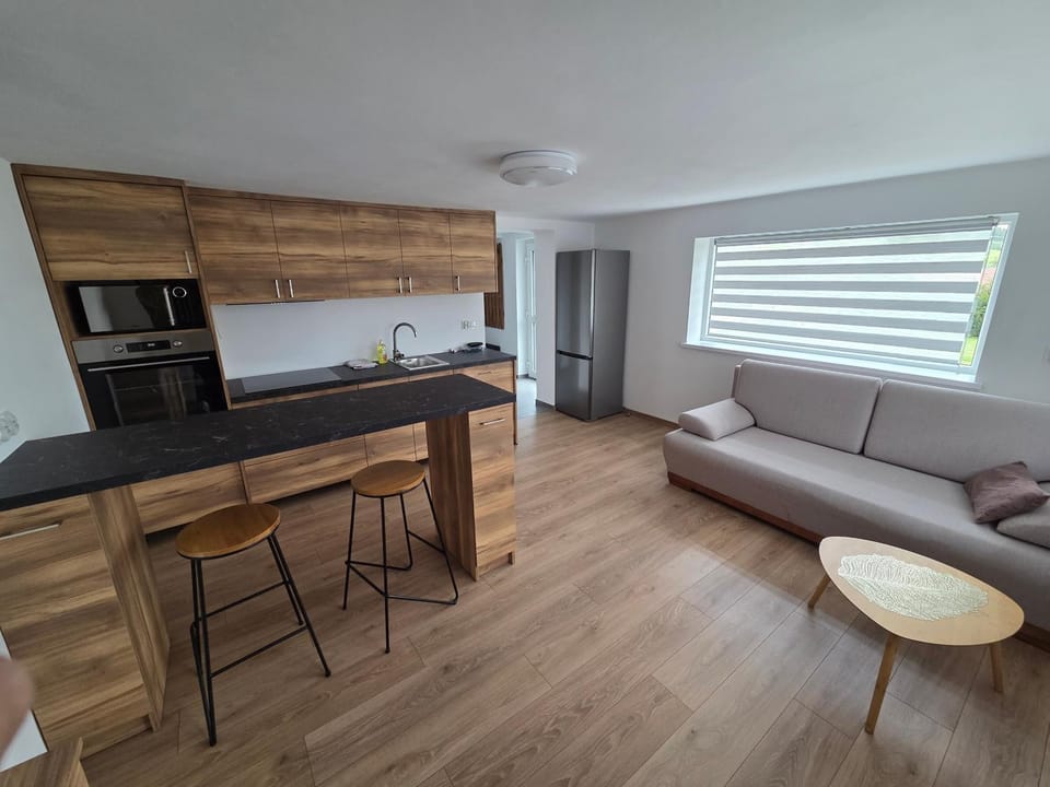 Kitchen or kitchenette, Living room, Seating area, stove