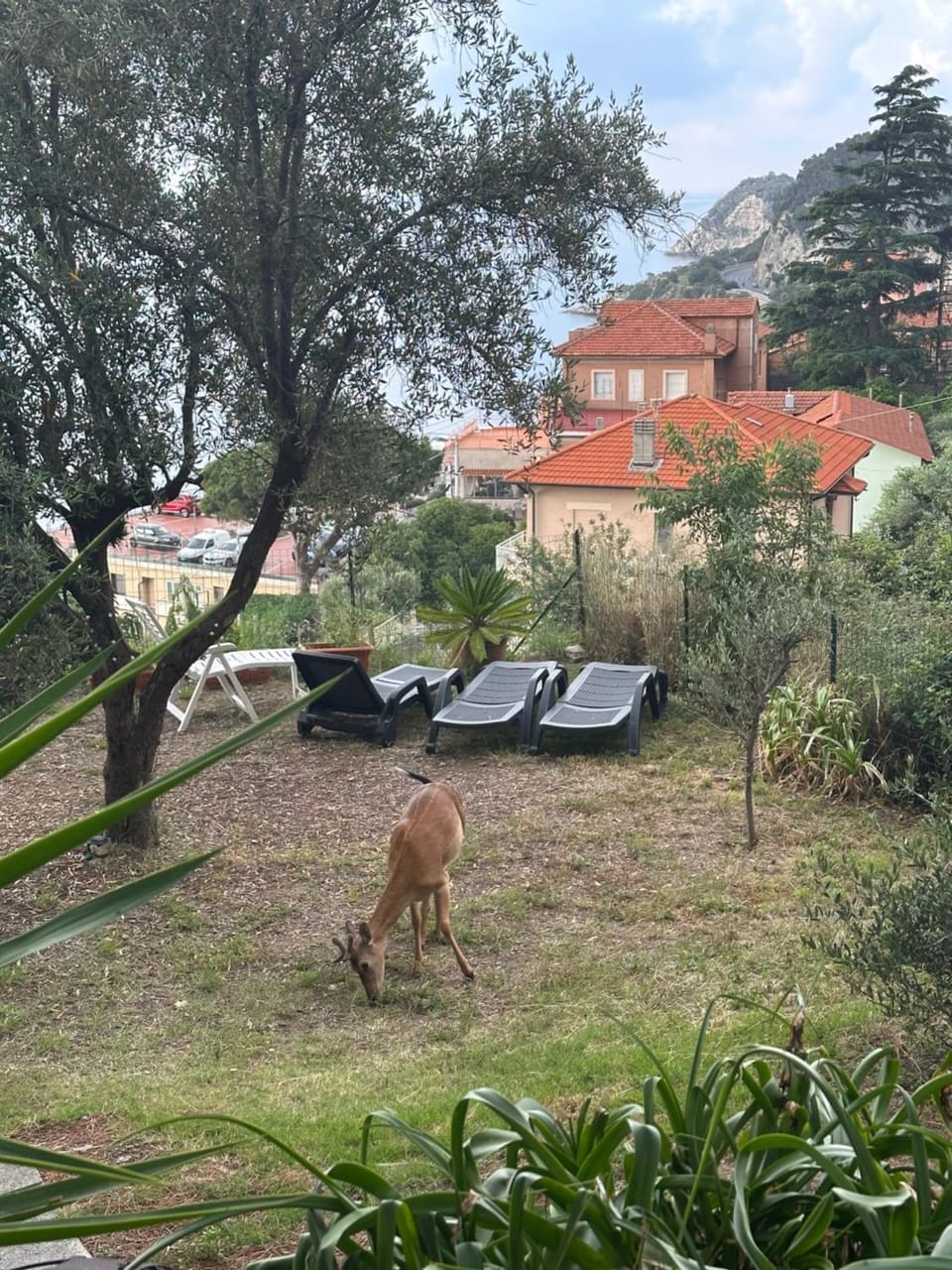 Casa del sasso Apartment in Bergeggi