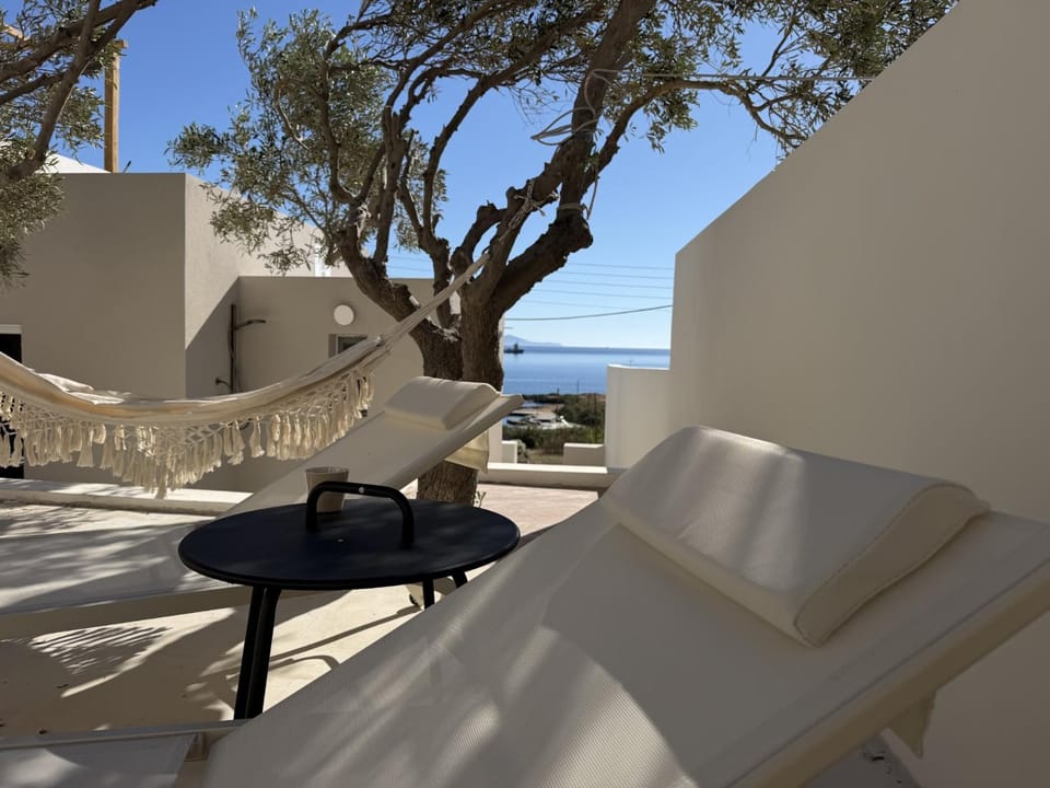Patio, sunbed