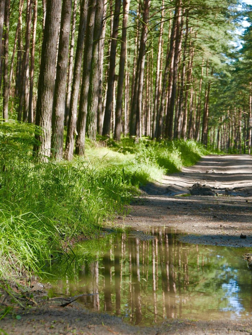 Blue Sea Apartment Apartment in Miedzyzdroje