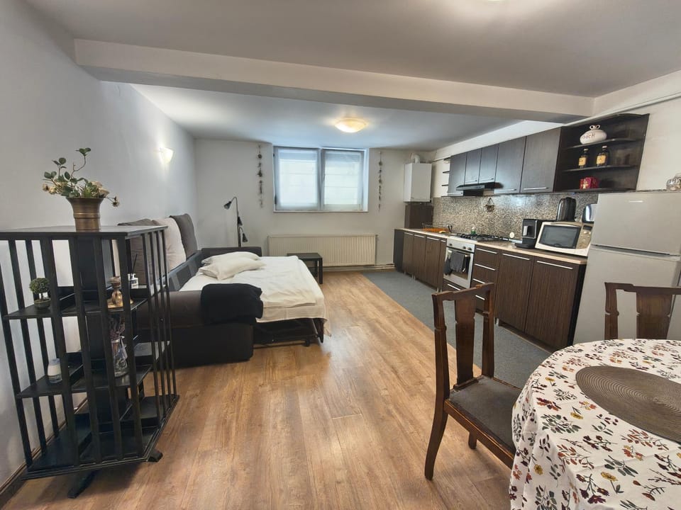 Central Park Apartments Apartment in Brasov