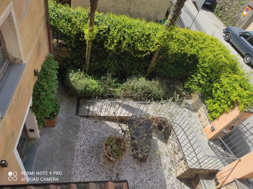 Property building, Garden view