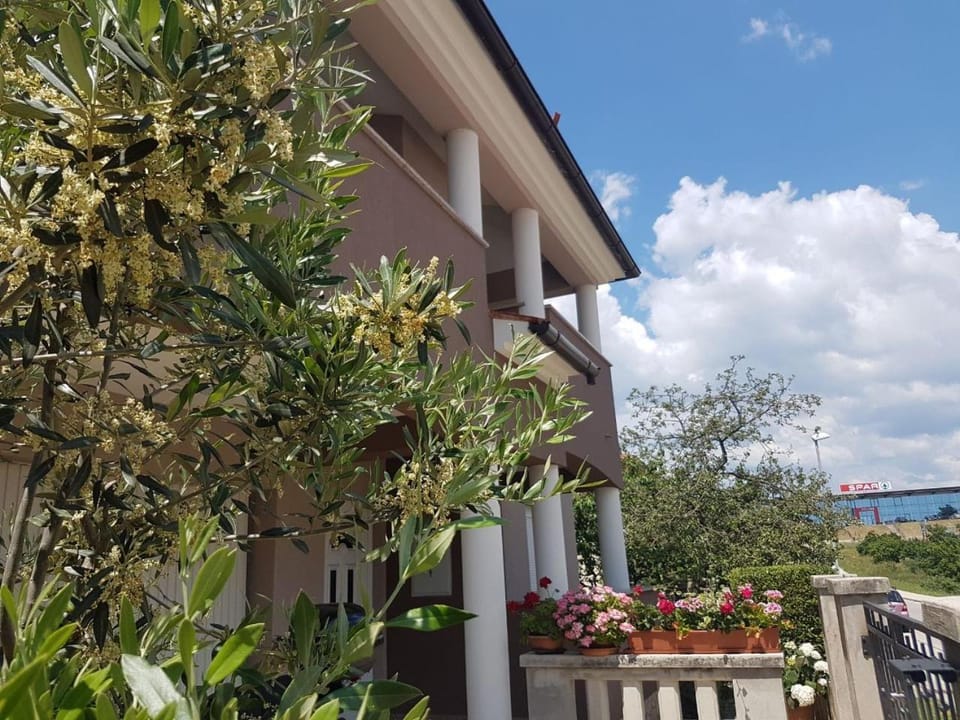 Apartments Ema Apartment in Pula