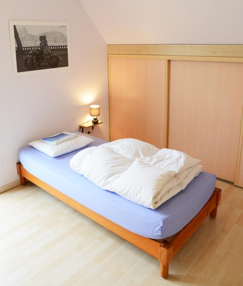 La maison du Vignoble Apartment in Colmar